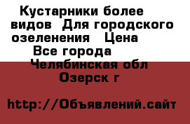 Кустарники более 100 видов. Для городского озеленения › Цена ­ 70 - Все города  »    . Челябинская обл.,Озерск г.